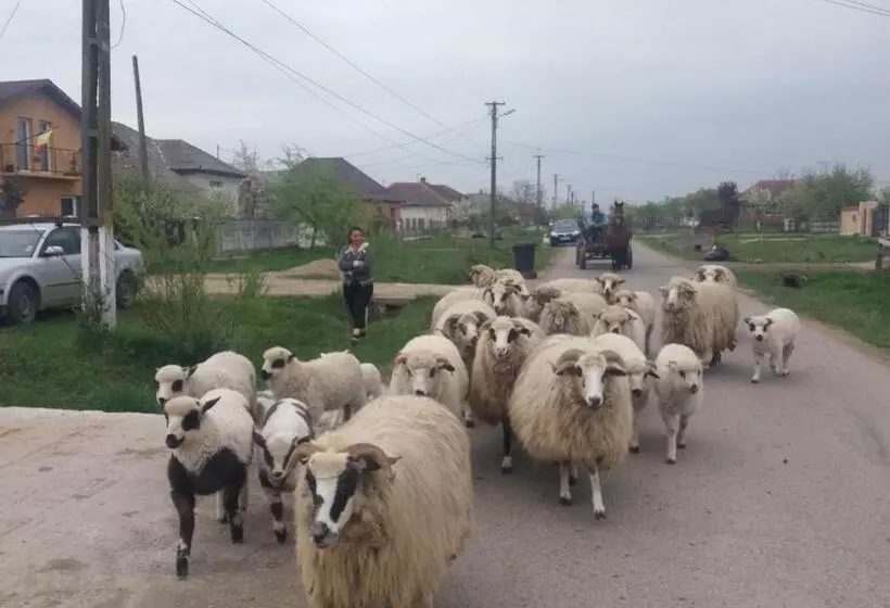 Majatalo Casa Traditionala Ardeleana