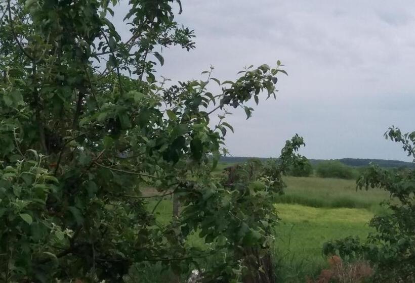 پانسیون Casa Traditionala Ardeleana