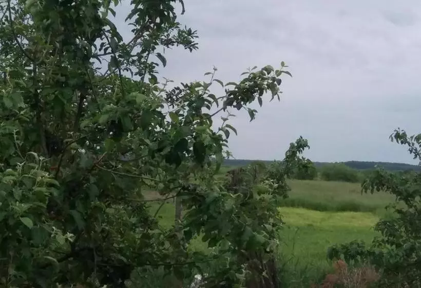 Majatalo Casa Traditionala Ardeleana