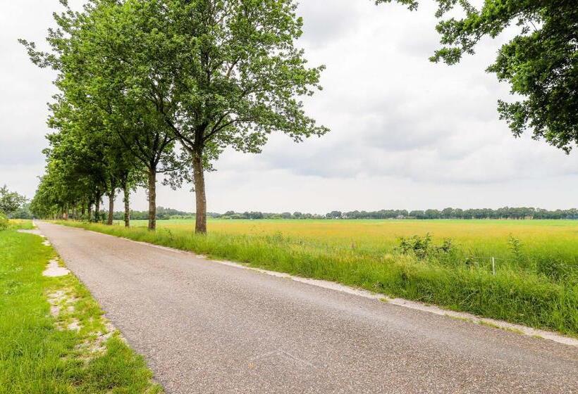 Bed and Breakfast Vakantiehuis Bij Vermeer