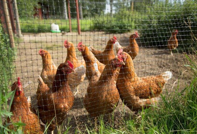 B&b Kvarntorps Herrgård