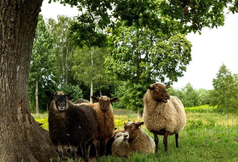 B&b Kvarntorps Herrgård