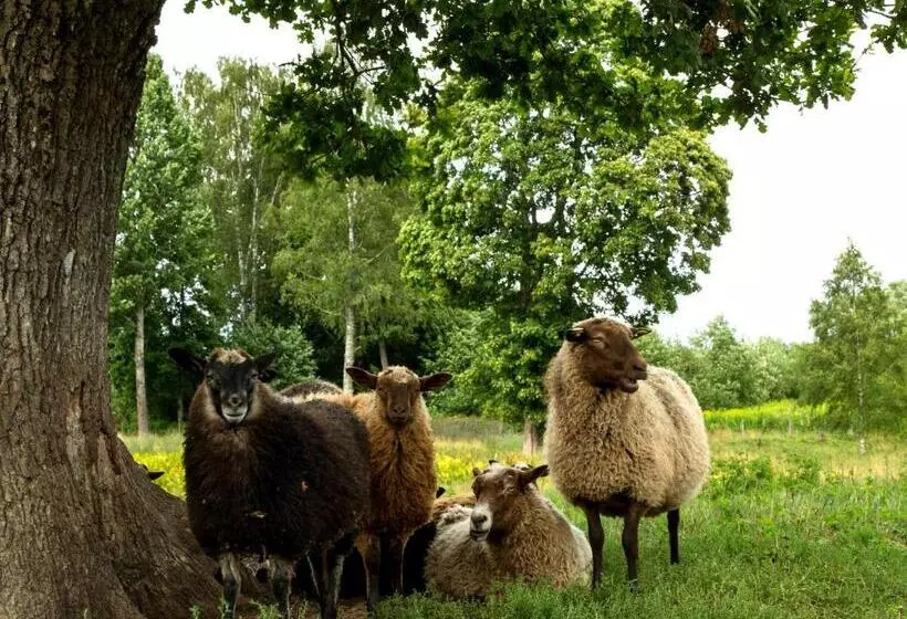 B&b Kvarntorps Herrgård