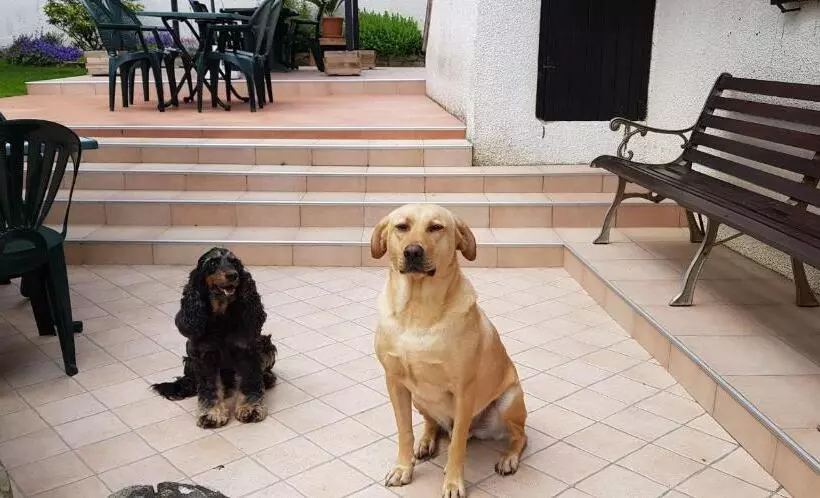 Aamiaismajoitus (B&B) Chambre D Hôtes Le Gachignard