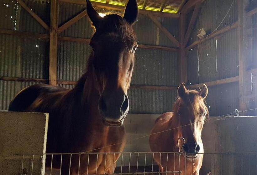 Bed and Breakfast Chambre D Hôtes Le Gachignard