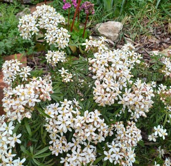 Bed and Breakfast Chambres D Hôtes Le Moulin à Epices