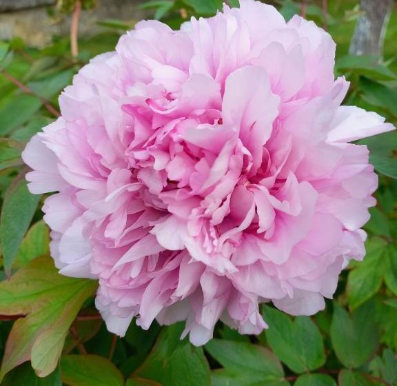 Bed and Breakfast Chambres D Hôtes Le Moulin à Epices