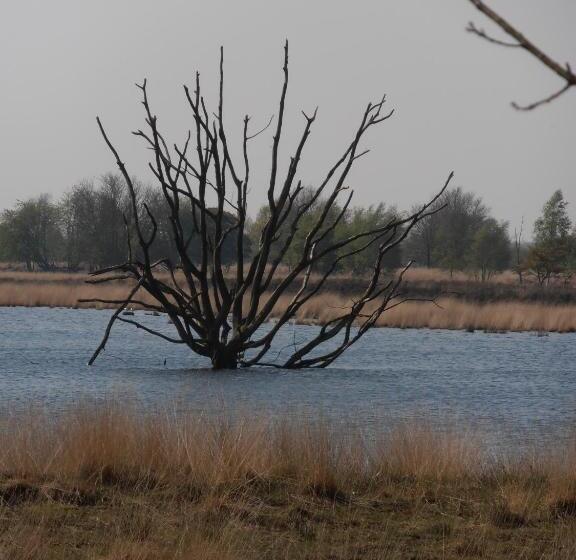 Bed and Breakfast Gezond Boeren Verstand