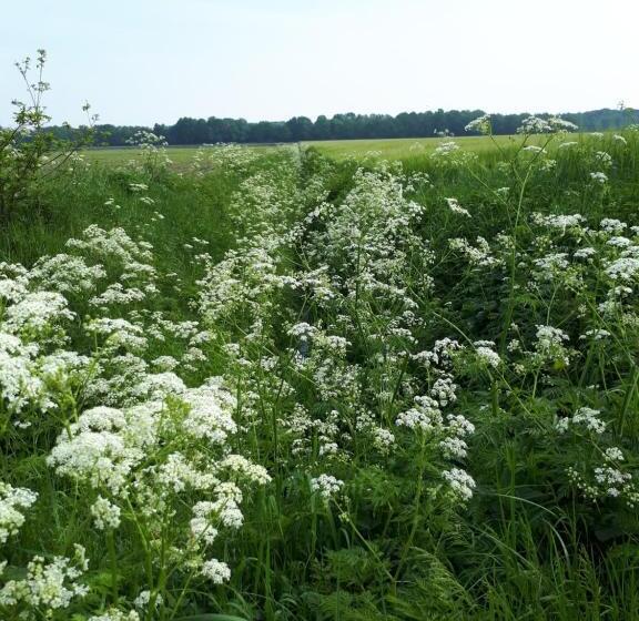 Bed and Breakfast Gezond Boeren Verstand