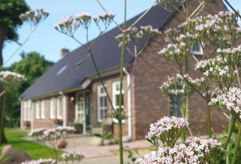 Bed and Breakfast Gezond Boeren Verstand