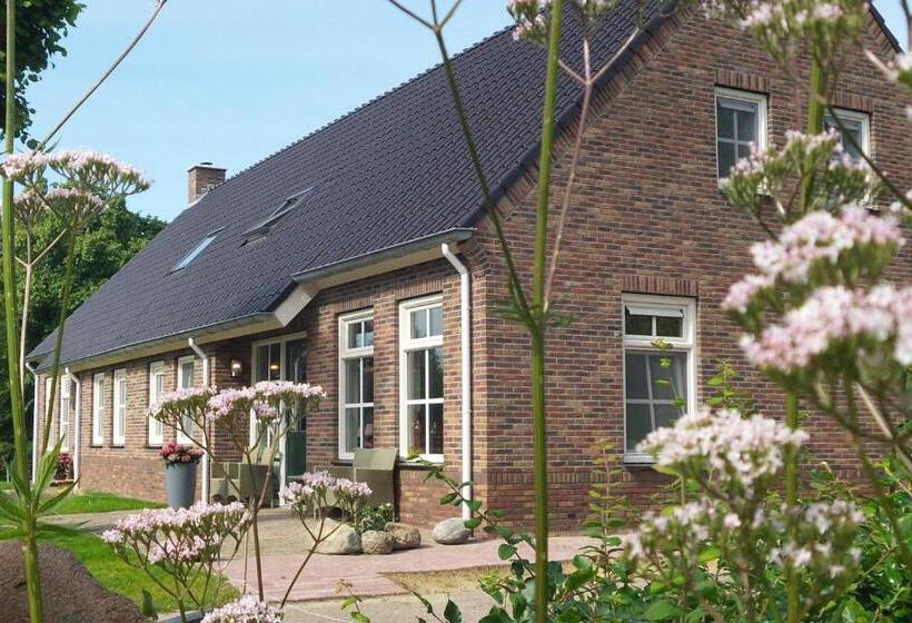 Bed and Breakfast Gezond Boeren Verstand