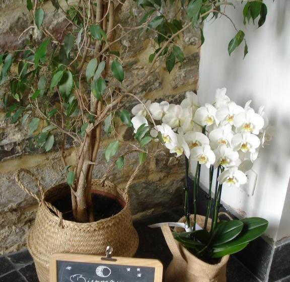 ベッドアンドブレックファースト La Lune En Bulles