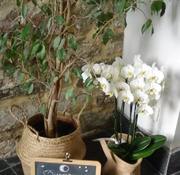 Aamiaismajoitus (B&B) La Lune En Bulles