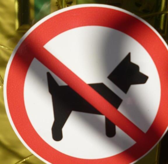 Bed & Breakfast La Sylreine