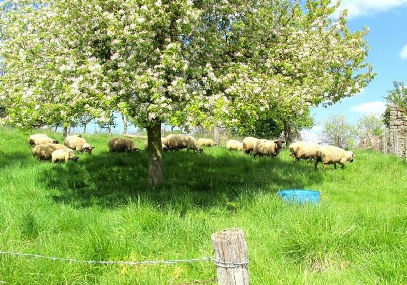 Bed and Breakfast La Taniere Douce