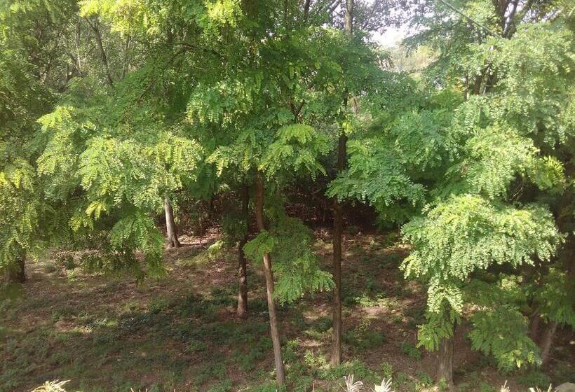 住宿加早餐 Noemi & Julienne