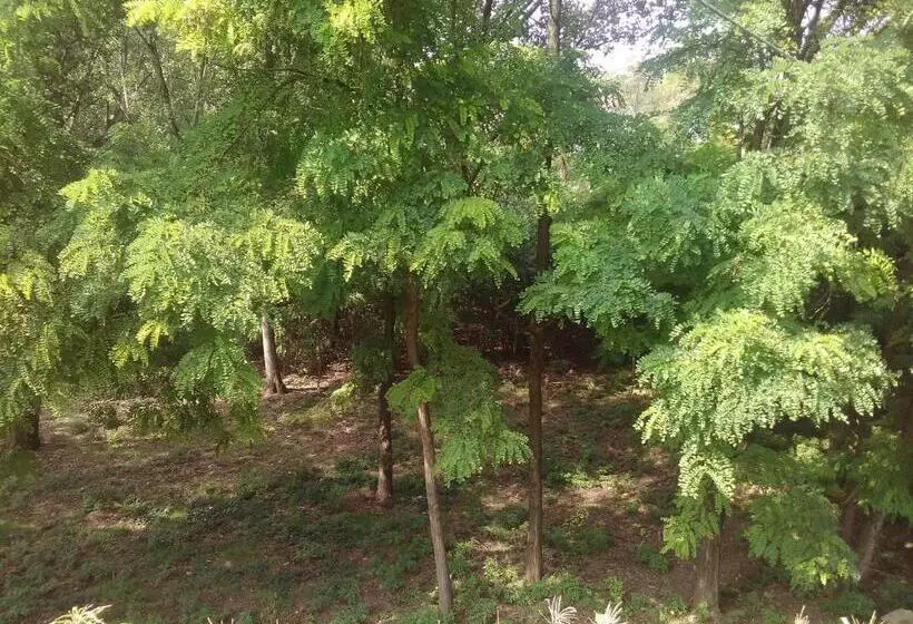 Aamiaismajoitus (B&B) Noemi & Julienne