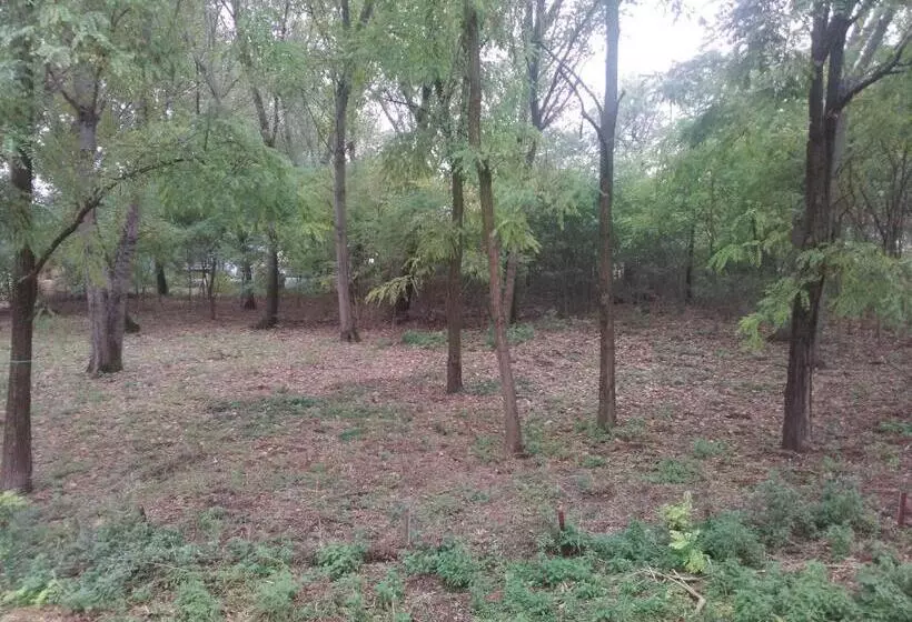 Aamiaismajoitus (B&B) Noemi & Julienne