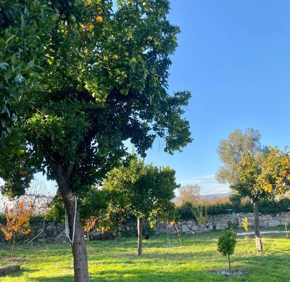 تختخواب و صبحانه Quinta De Areias