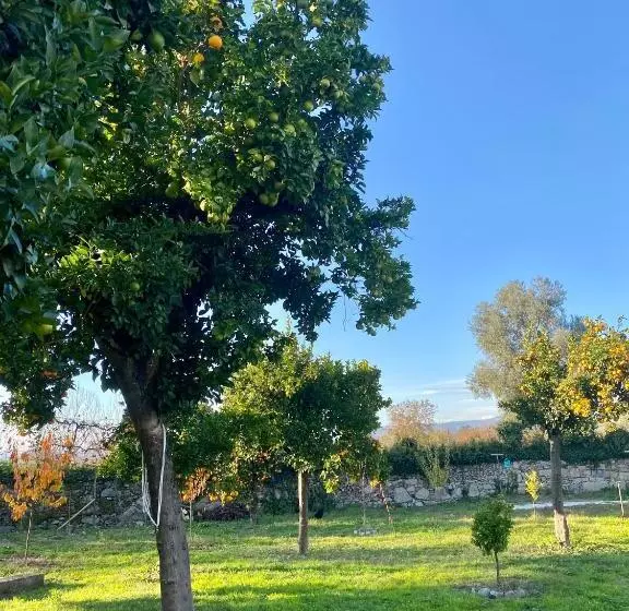 تختخواب و صبحانه Quinta De Areias