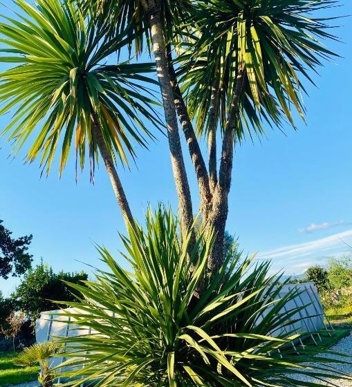 تختخواب و صبحانه Quinta De Areias