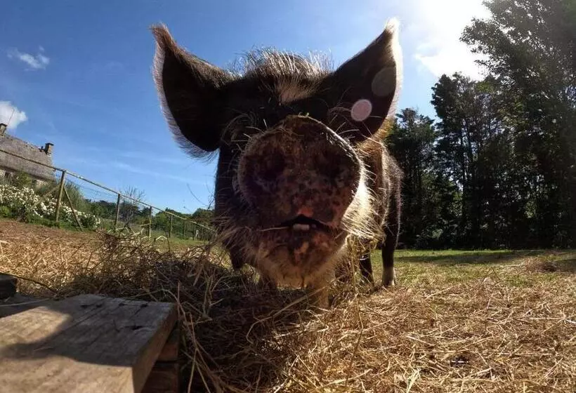 Aamiaismajoitus (B&B) Retour Aux Sources