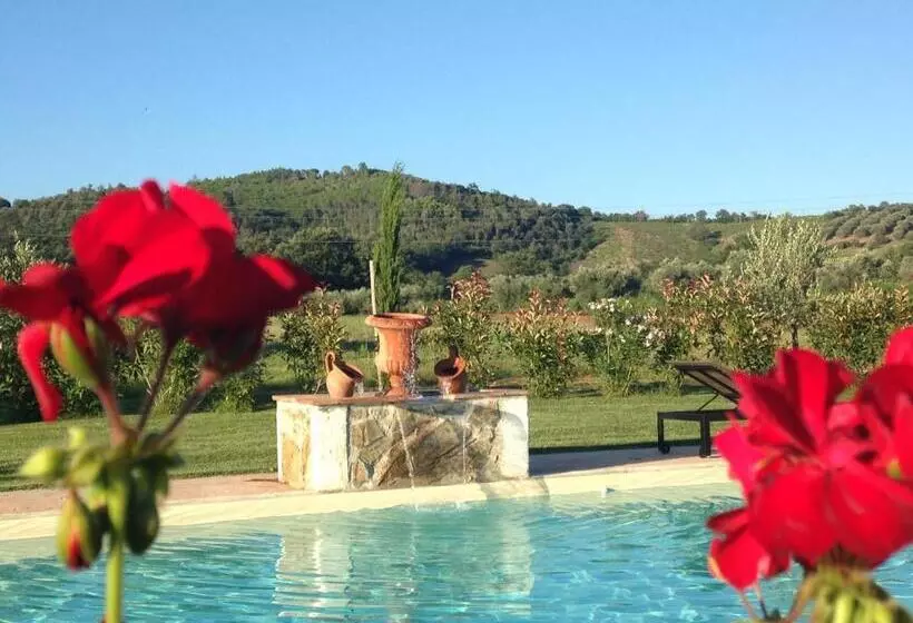 Aamiaismajoitus (B&B) Tonini House