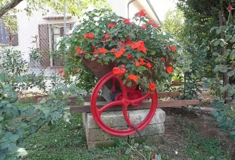 Aamiaismajoitus (B&B) Tonini House