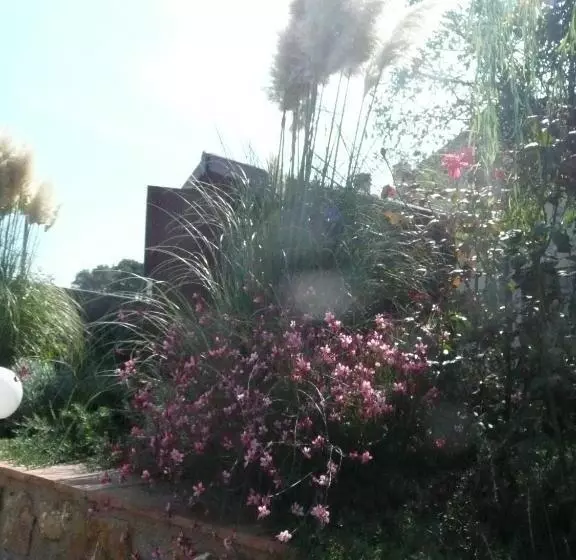 Aamiaismajoitus (B&B) Tonini House