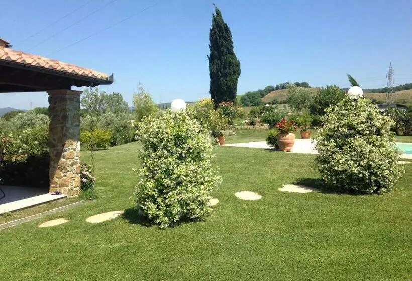 Aamiaismajoitus (B&B) Tonini House