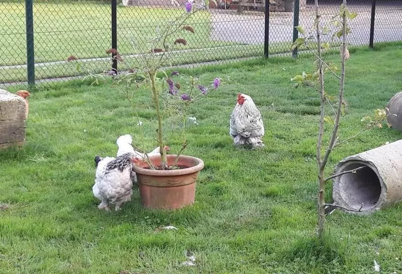 Bed & Breakfast “ Gastvrij Onthaal “