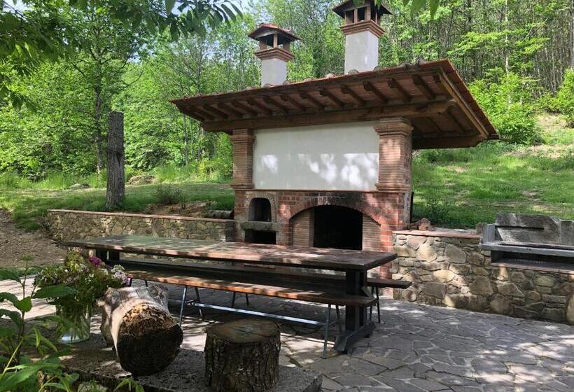 호텔 Agriturismo La Casa Nel Bosco