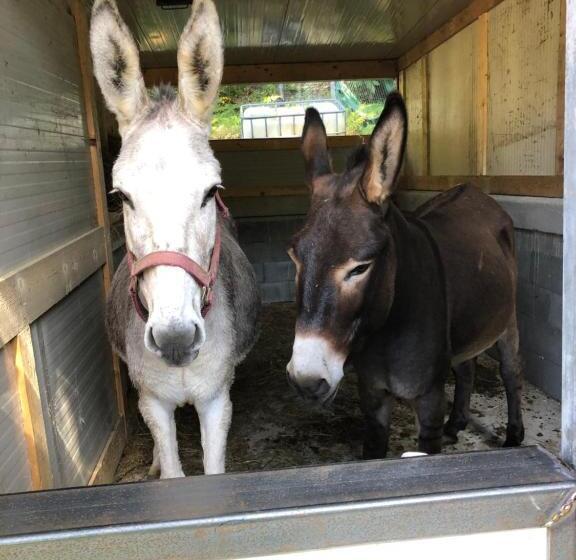 호텔 Agriturismo La Casa Nel Bosco
