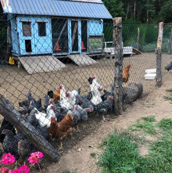 호텔 Agriturismo La Casa Nel Bosco