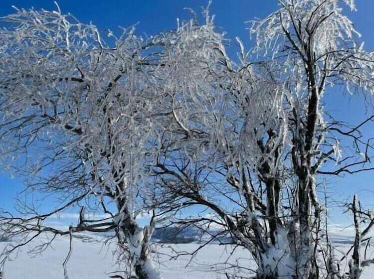 فندق Auberge Du Cezallier
