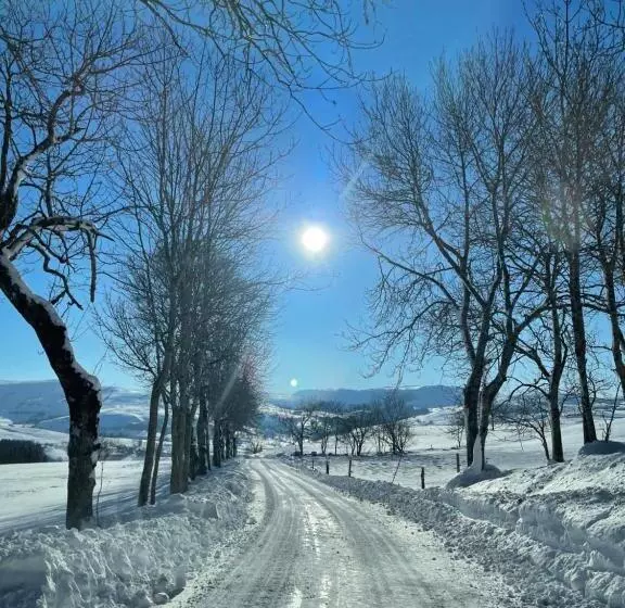 ホテル Auberge Du Cezallier