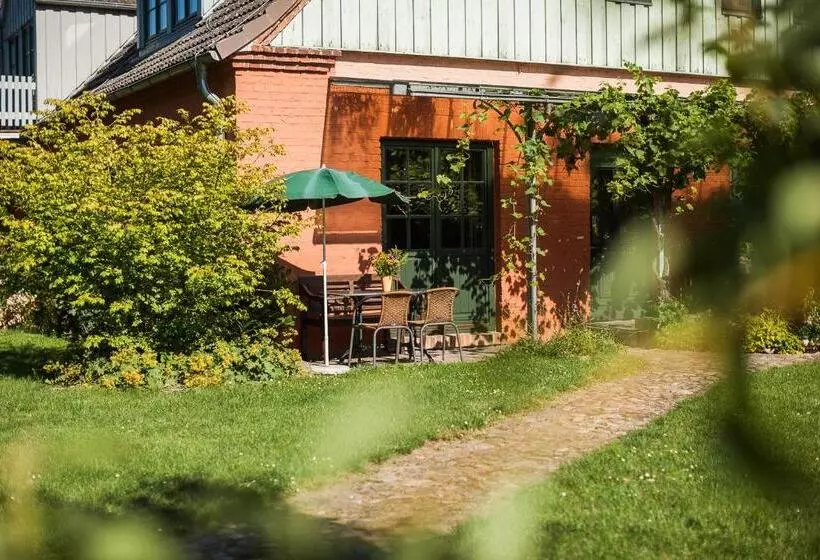 Hotelli Das Gutshaus Solzow Mecklenburgische Seenplatte Müritz