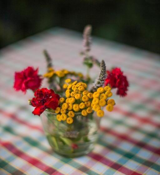 ホテル Das Gutshaus Solzow Mecklenburgische Seenplatte Müritz