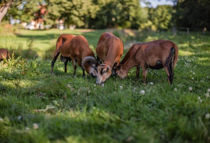 ホテル Das Gutshaus Solzow Mecklenburgische Seenplatte Müritz
