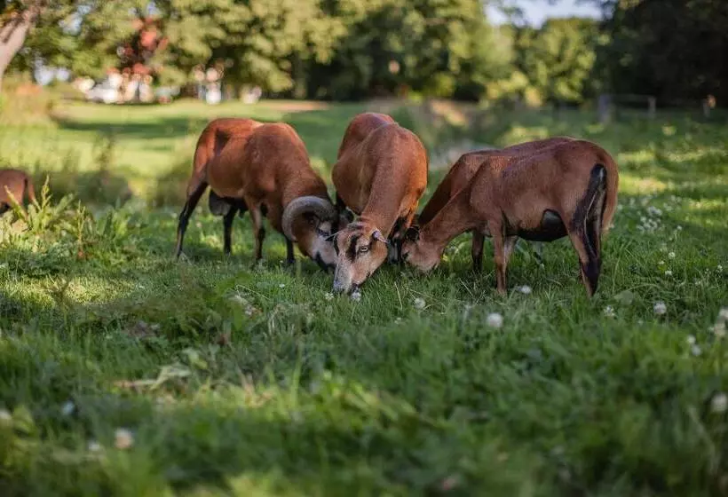 Hotelli Das Gutshaus Solzow Mecklenburgische Seenplatte Müritz