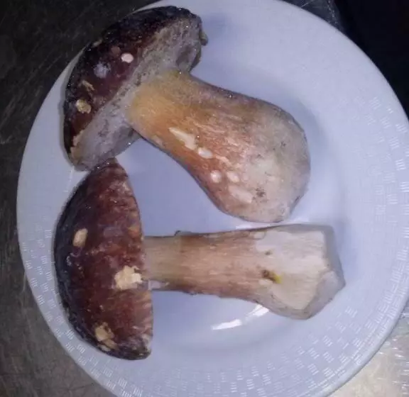 Hotelli La Collinetta