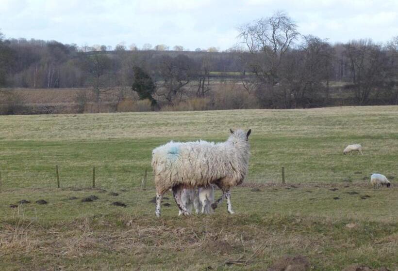 Mickley Bed And Breakfast