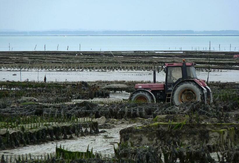 פנסיון Gites Bijoux