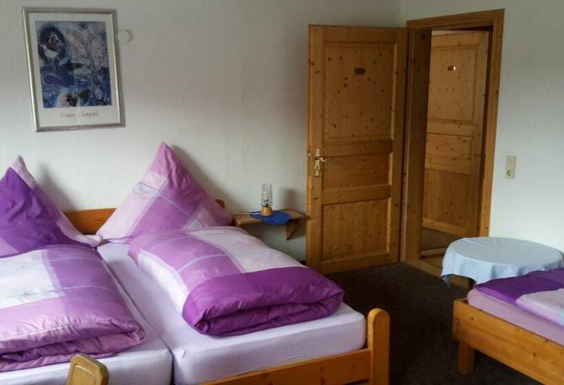 פנסיון Bruchhauser Muhle