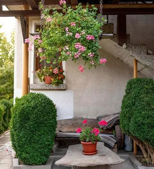 ペンション Kandaphery Guest Houses