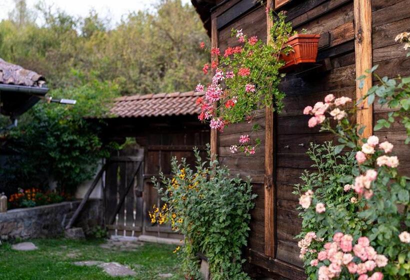 بنسيون Kandaphery Guest Houses