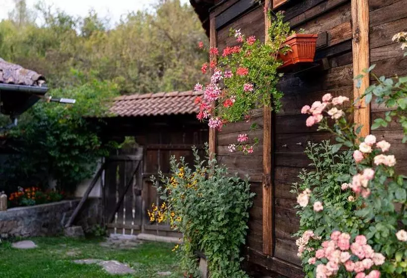 ペンション Kandaphery Guest Houses