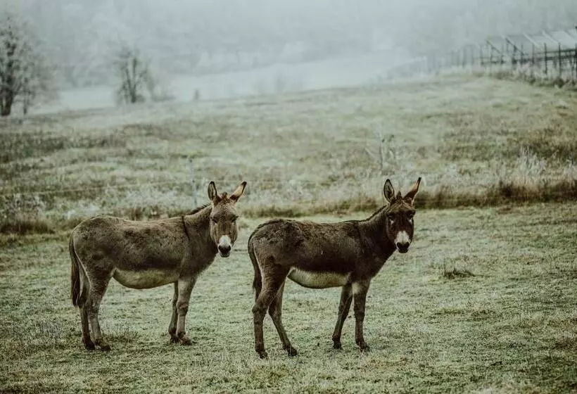 ペンション Penzion Brusinka