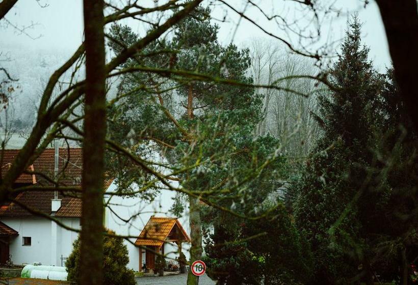 פנסיון Penzion Brusinka