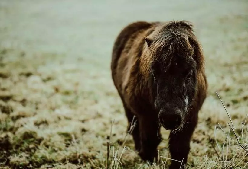 ペンション Penzion Brusinka